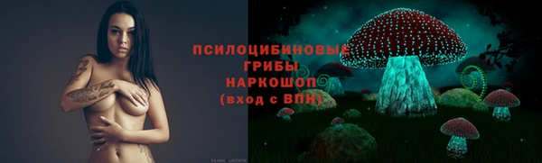 сатива Нязепетровск