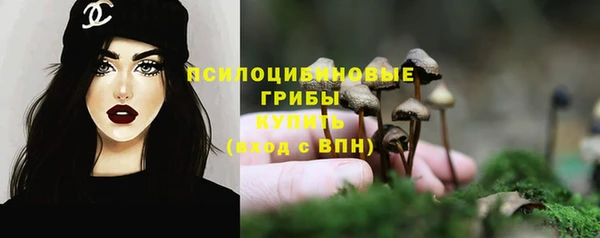 бошки Долгопрудный