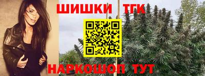 стаф Можайск