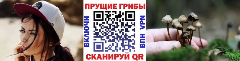 наркошоп  Волоколамск  Галлюциногенные грибы мицелий 