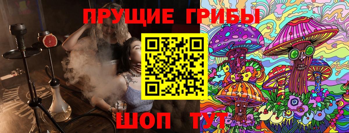 Галлюциногенные грибы Psilocybe  даркнет сайт  Волоколамск  Вход с VPN  Галлюциногенные грибы Psilocybe 