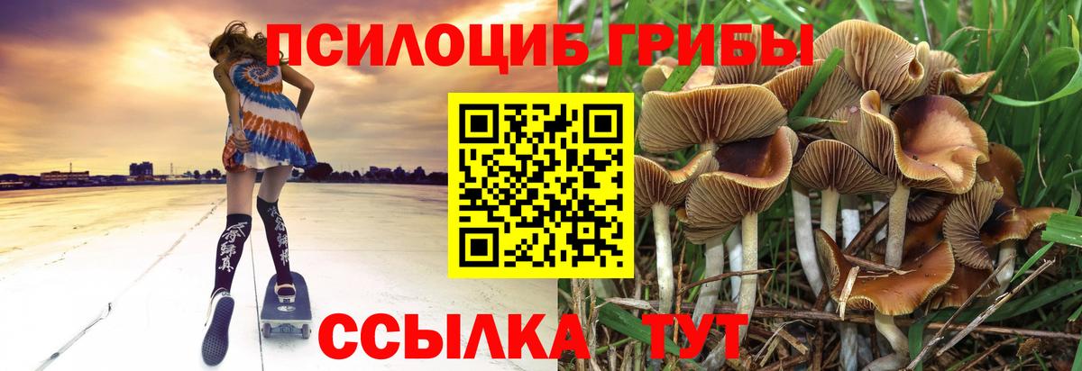 Галлюциногенные грибы Magic Shrooms Волоколамск